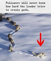 Followers will never know how hard the leader tries to create path